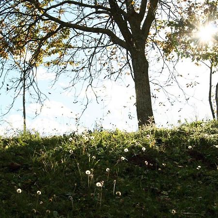 Agriturismo Florandonole في ديلا باغانيلا المظهر الخارجي الصورة