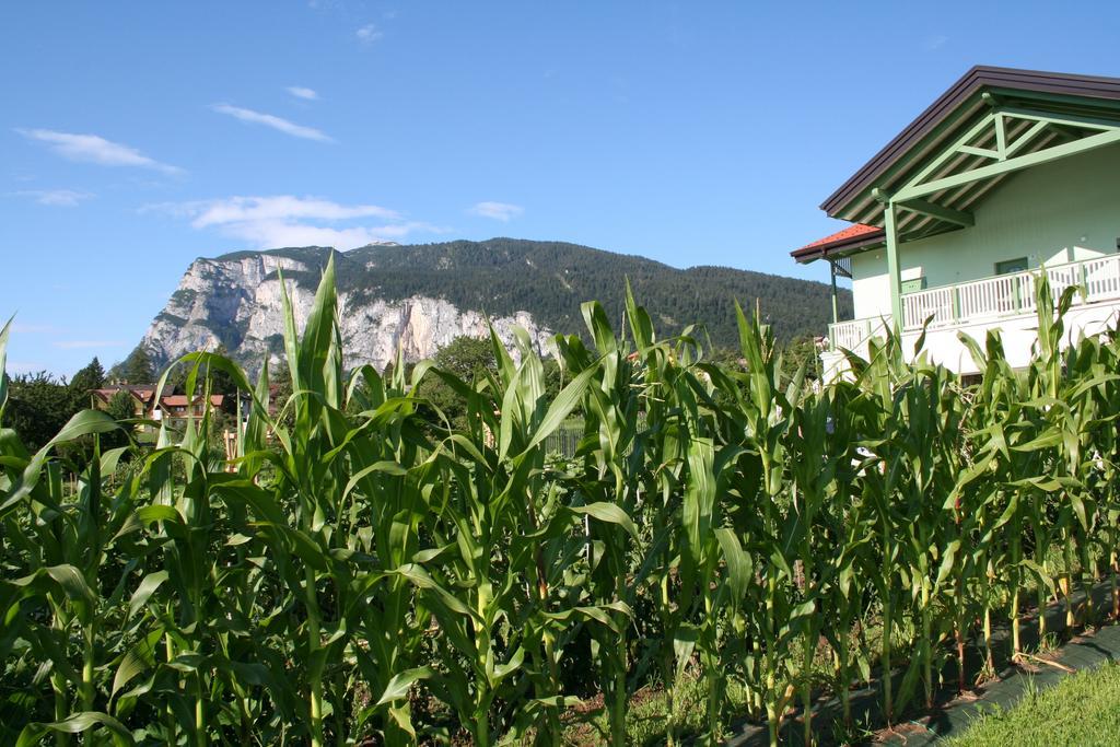 Agriturismo Florandonole في ديلا باغانيلا المظهر الخارجي الصورة