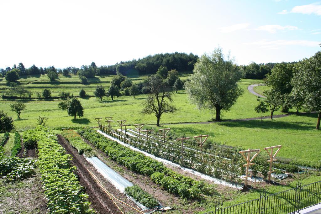 Agriturismo Florandonole في ديلا باغانيلا الغرفة الصورة